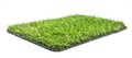 Deco Green